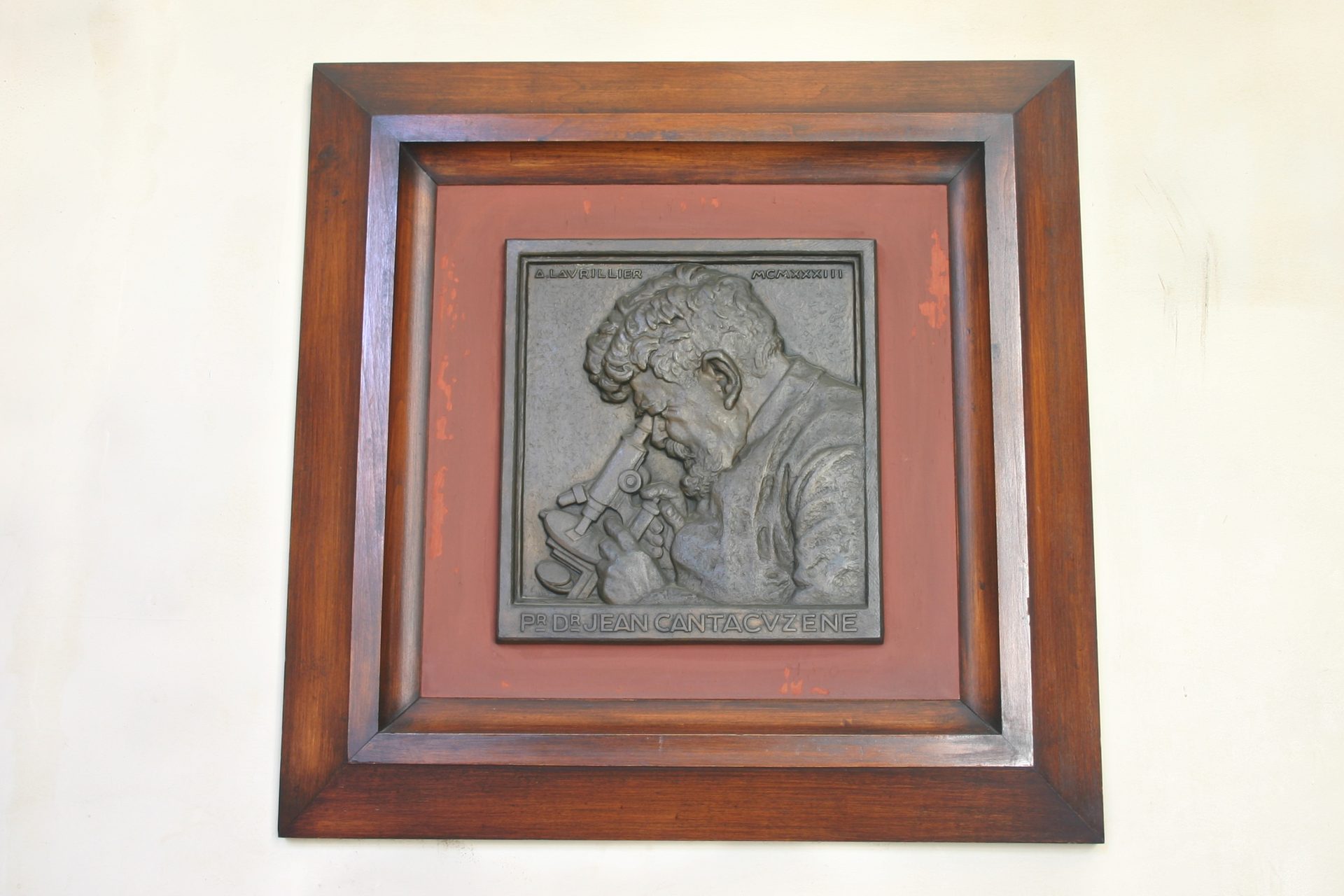 Ioan Cantacuzino bas-relief, Institut Pasteur, Paris.JPG
